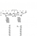Thumbnail for version as of 09:43, 23 May 2013