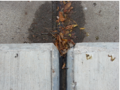 Thumbnail for version as of 12:53, 19 May 2014